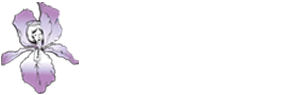 Caddo-Bossier Cancer Foundation League | Shreveport Bossier City, LA